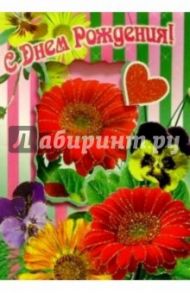 3П-008/День рождения/открытка-вырубка складная
