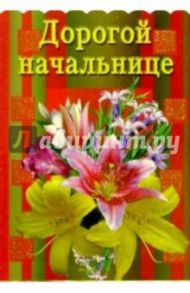 3Т-297/День рождения/открытка-вырубка двойная