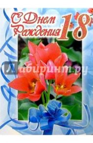 1Т-087/День рождения 18/открытка-гигант/вырубка