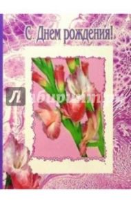 3Т-345/День рождения/открытка двойная