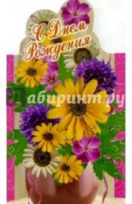 3Т-348/День рождения/открытка-вырубка двойная
