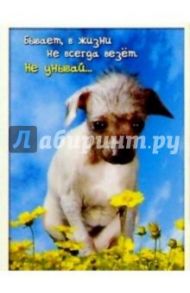 З-057/Не унывай/открытка двойная