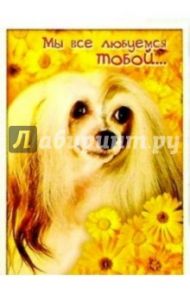 З-058/Любуемся тобой/открытка двойная