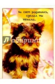 З-060/День рождения/открытка двойная