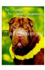 З-062/Ты - супер/открытка двойная