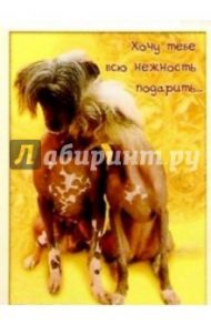 З-065/Нежность/открытка двойная