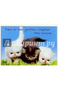 З-067/Спорт. День рождения/открытка двойная