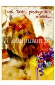 З-070/День рождения на "5"/открытка двойная