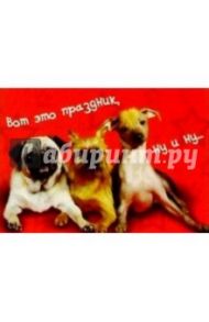 З-072/Ну и ну. День рождения/открытка двойная