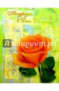 ЦР-150/Подруге в День рождения/открытка двойная