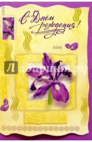 5072/День рождения/открытка вырубка двойная