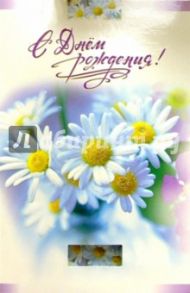 5076/День рождения/открытка вырубка двойная