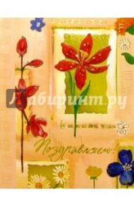 5162/Поздравляем/открытка двойная