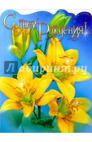 11226/С днем рождения/откратка-гигант двойная