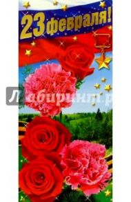 62064/23 февраля/открытка двойная