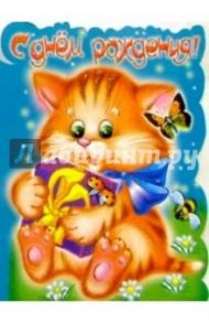 11236/С днем рождения/открытка вырубка двойная