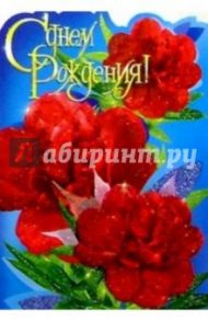 11240/С днем рождения/открытка вырубка двойная