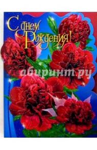 11259/С днем рождения/открытка-гигант двойная