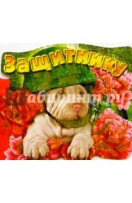 62100/Защитнику/открытка двойная вырубка