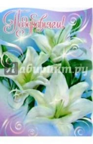 25283/Поздравляем/открытка-вырубка двойная