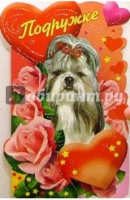 61177/Подружке/открытка двойная вырубка