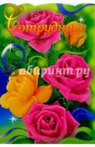 50357/Сотруднице/открытка-вырубка двойная