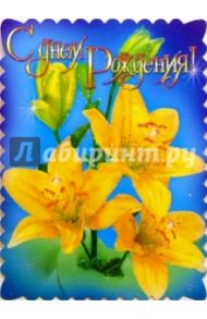 11316/День рождения/открытка-вырубка