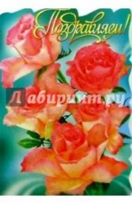 25305/Поздравляем/открытка вырубка двойная