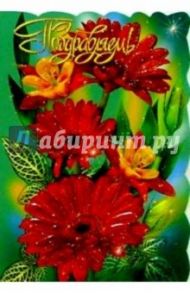 25316/Поздравляем/открытка вырубка двойная