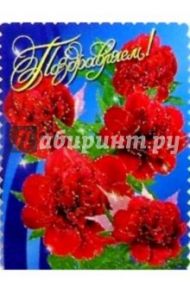 25325/Поздравляем/открытка вырубка двойная
