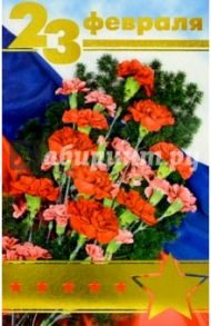 F4-014/23 февраля/открытка двойная