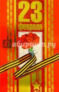 F4-015/23 февраля/открытка двойная