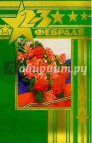 F4-019/23 февраля/открытка двойная