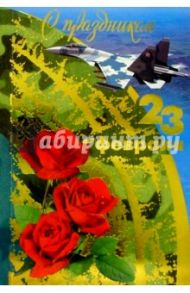 F4-024/23 февраля/открытка двойная