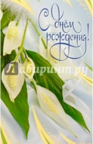 Р4-004/День рождения/открытка двойная