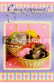 5482/День рождения/открытка двойная