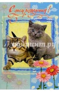 5494/День рождения/открытка двойная