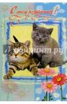 5494/День рождения/открытка двойная