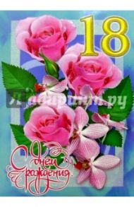 1КТ-035/День рождения 18/открытка-гигант