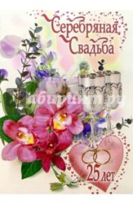 1КТ-037/Серебряная свадьба/открытка-гигант