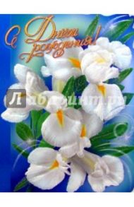 11447/День рождения/открытка-вырубка двойная