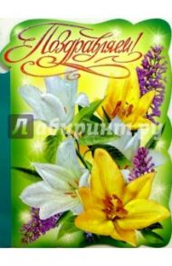 25443/Поздравляем/открытка-вырубка двойная