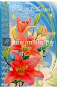 101287-3Т/Поздравляем/открытка двойная