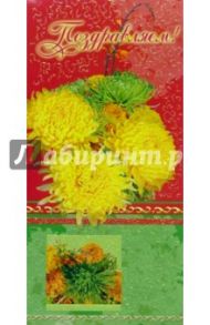 101212-3Т/Поздравляем/открытка двойная