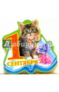 69203/1 сентября/открытка-вырубка