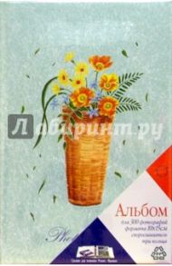 5293 Фотоальбом LM-4R300RB