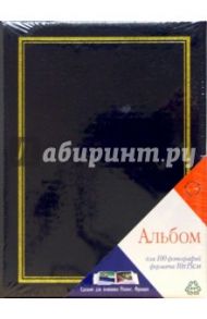 4501 Фотоальбом VNBS-4R100