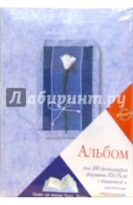 4539 Фотоальбом LM-4R100CPPM