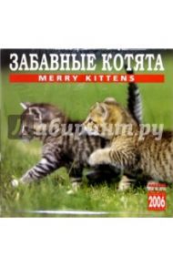Календарь: Забавные котята 2006 год