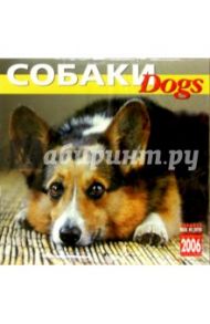 Календарь: Собаки 2006 год